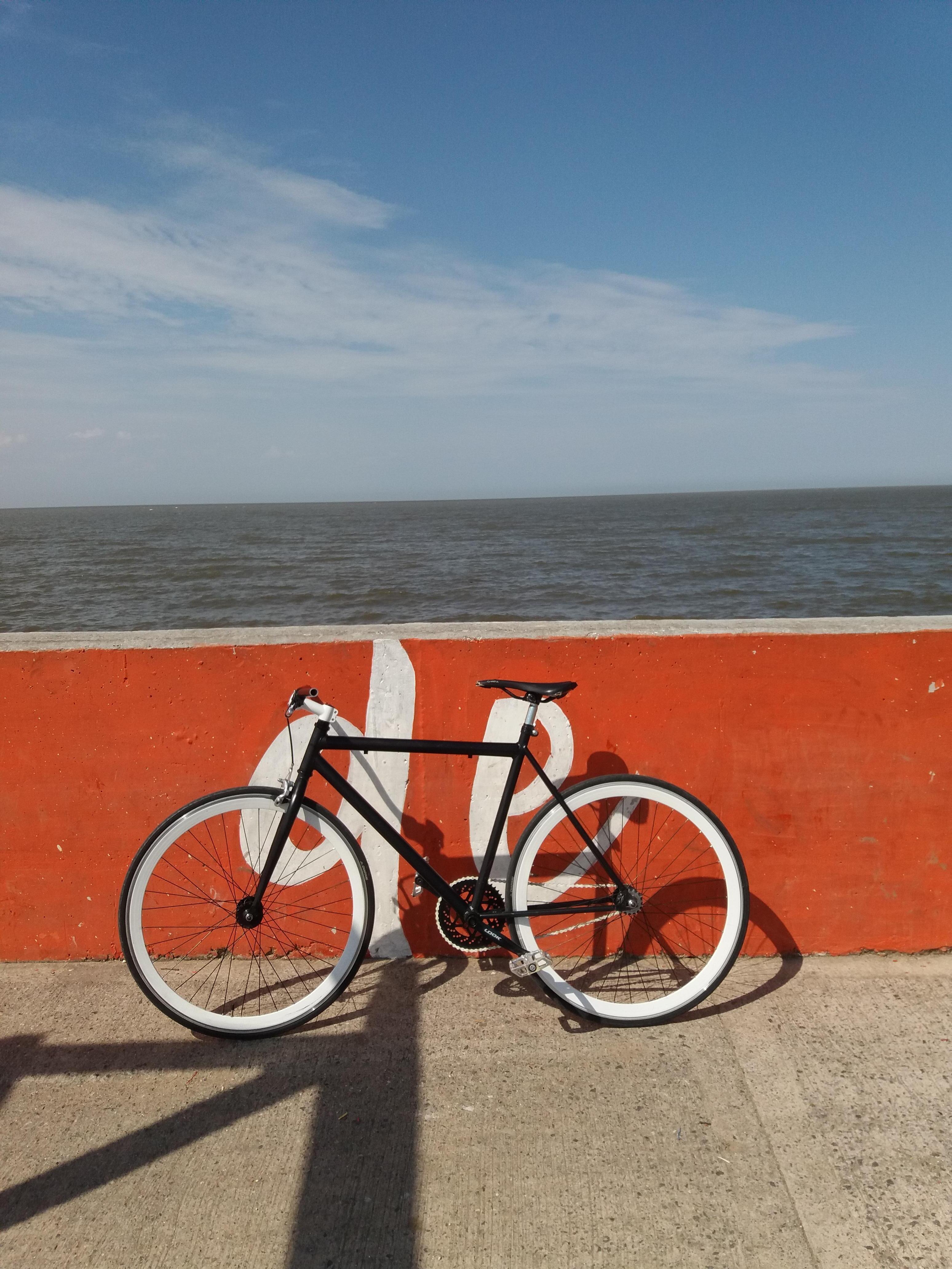 fixie costa 1