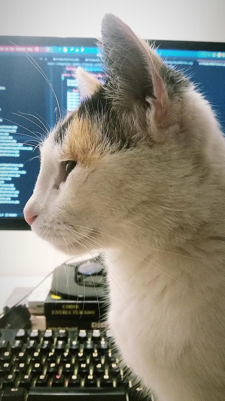 lambda