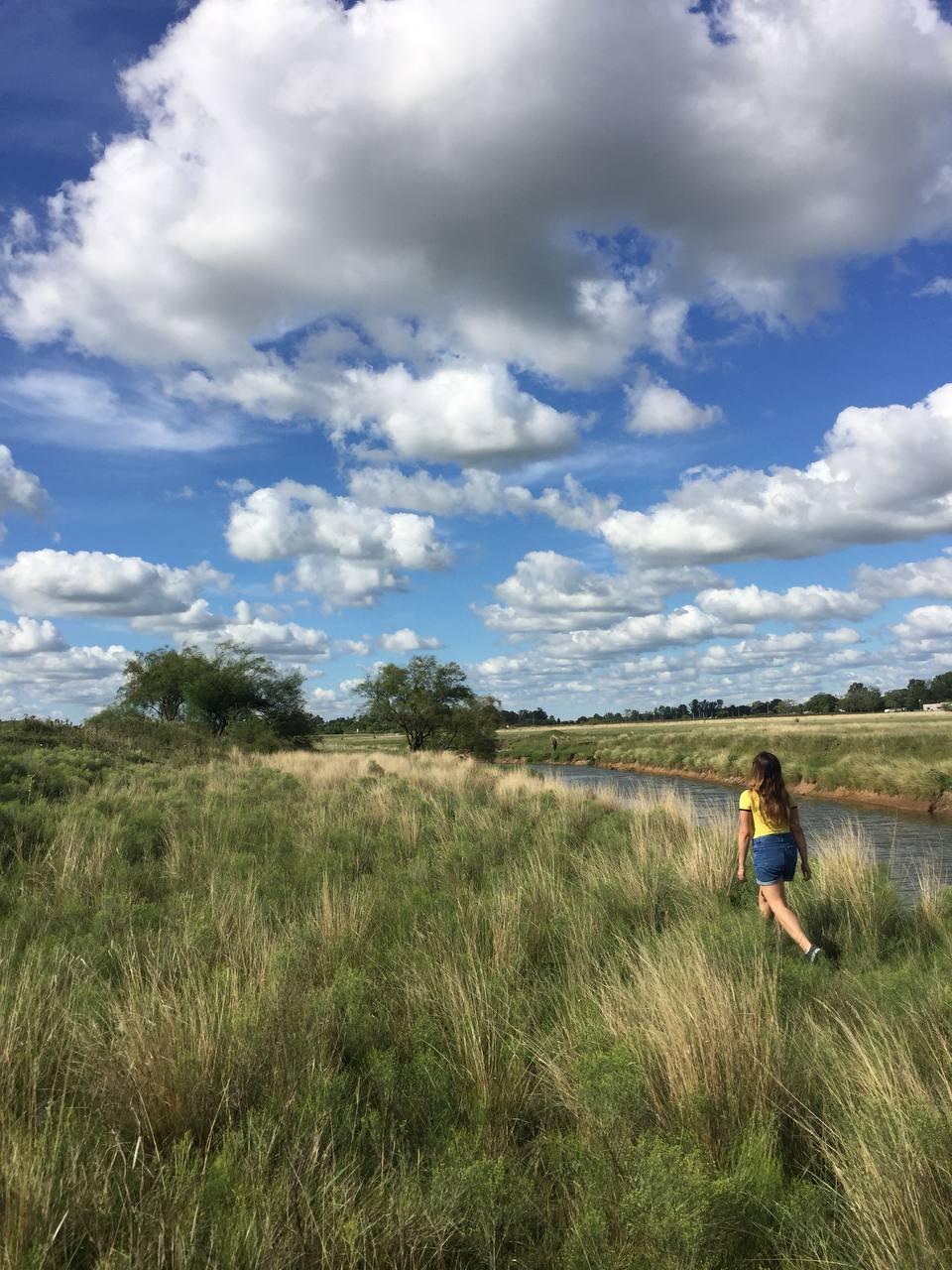 walking brandsen