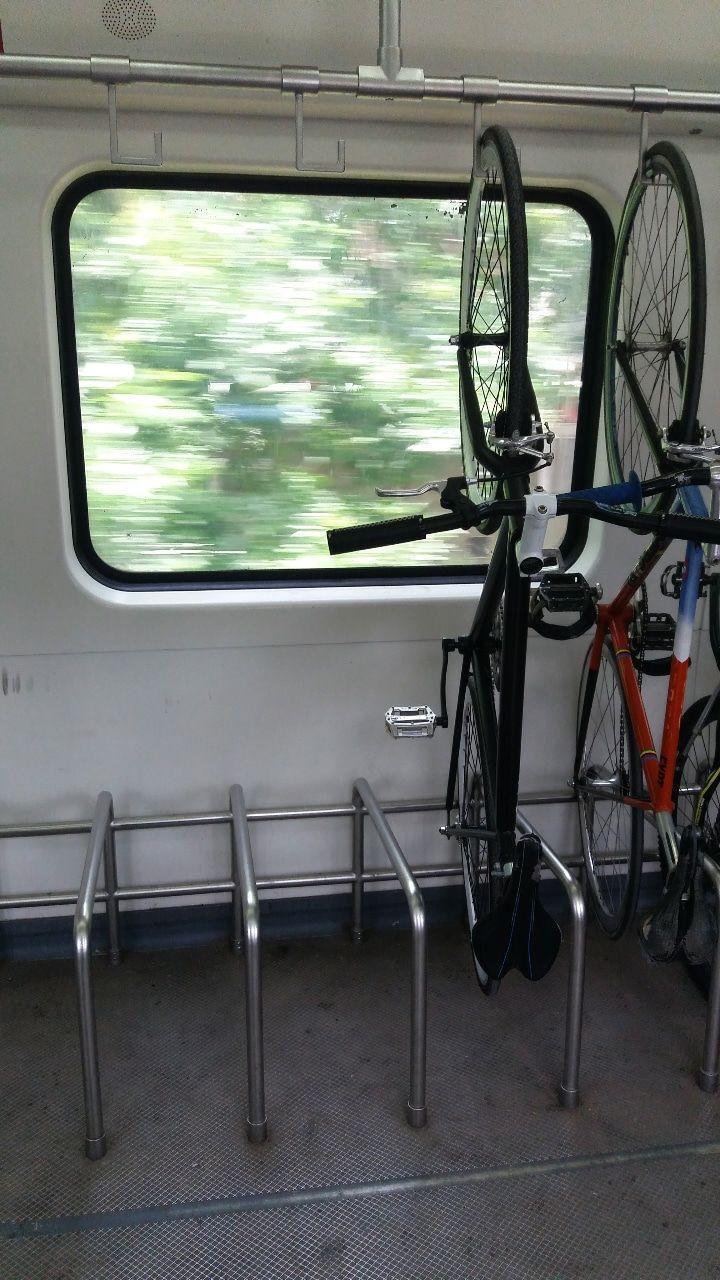 roca fixie